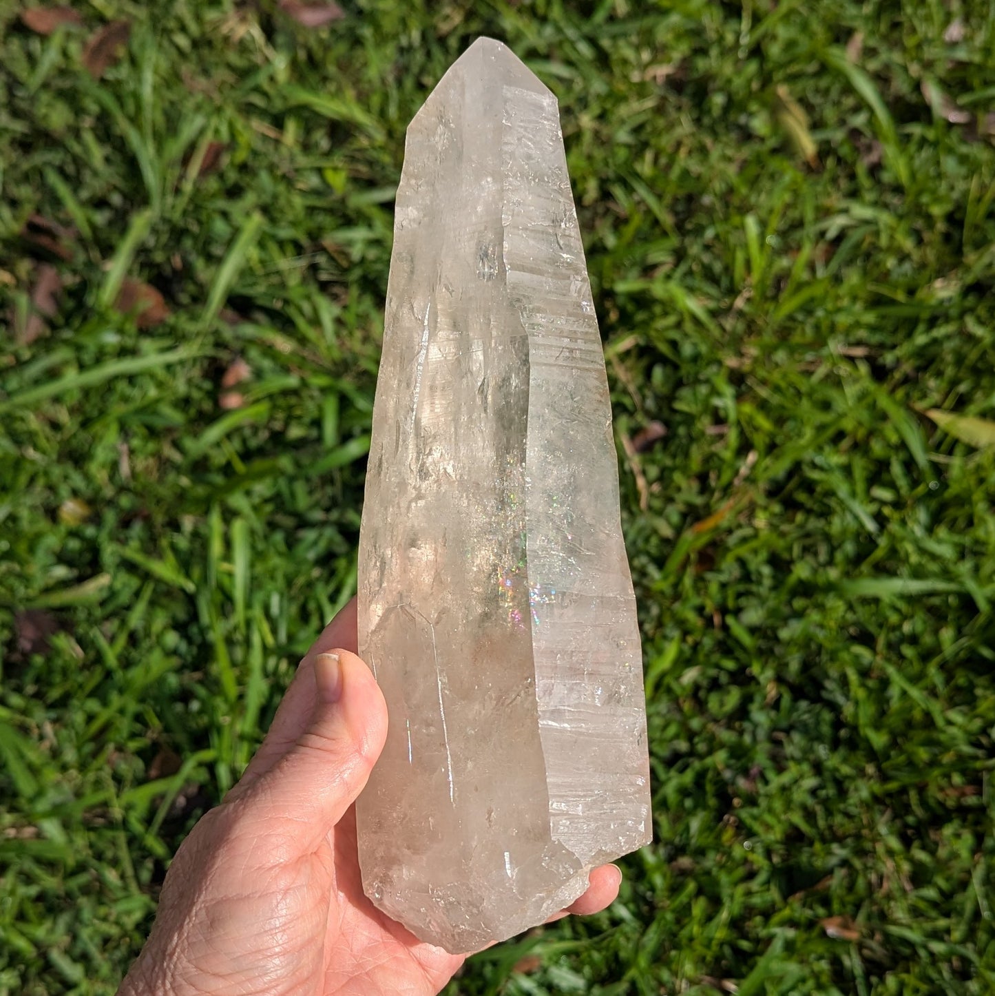 Lemurian Seed Quartz Crystal 9.5" long