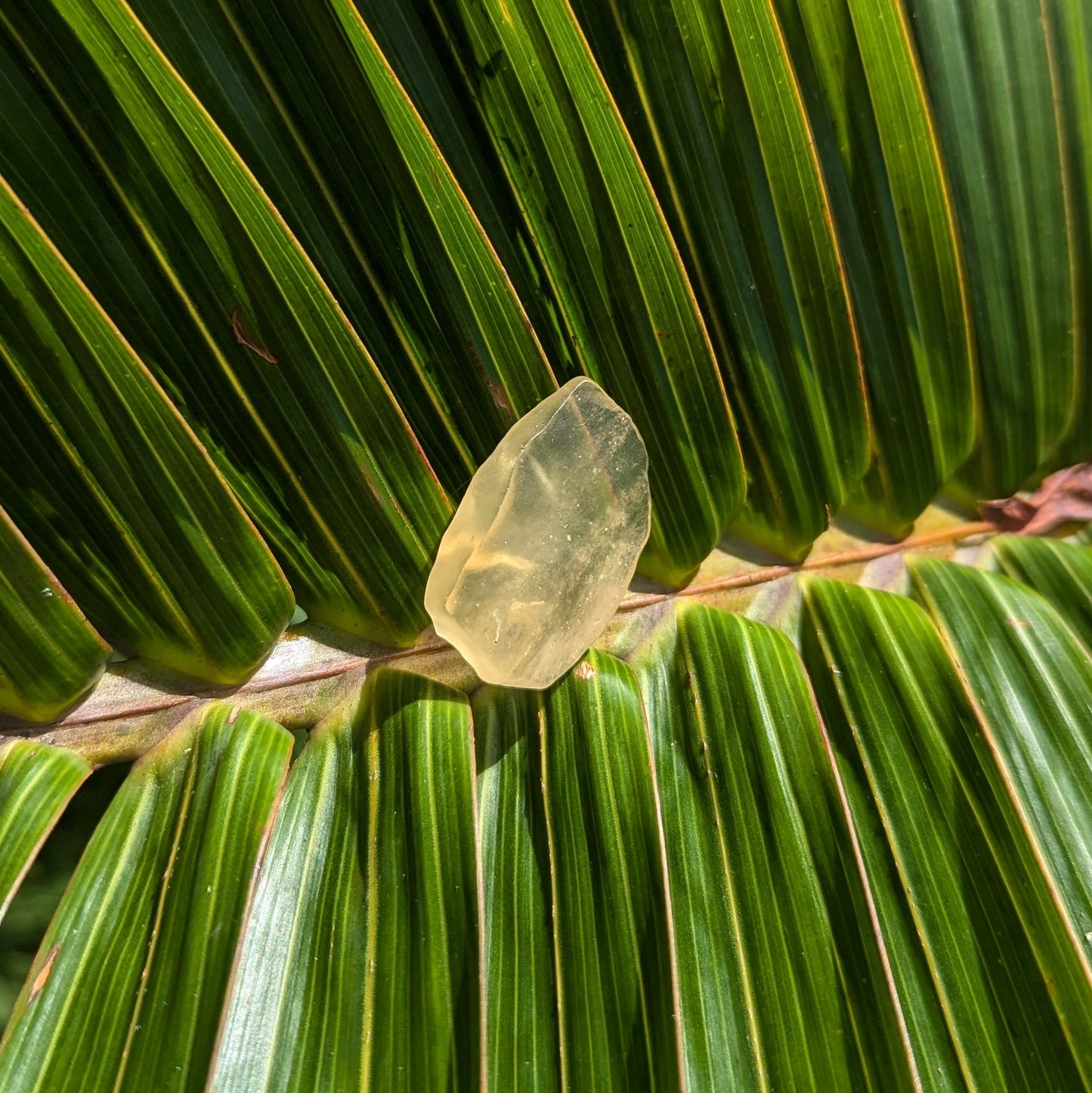 Libyan Desert Glass 5.76 grams