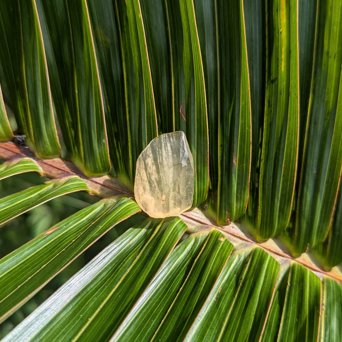 Libyan Desert Glass 5.76 grams