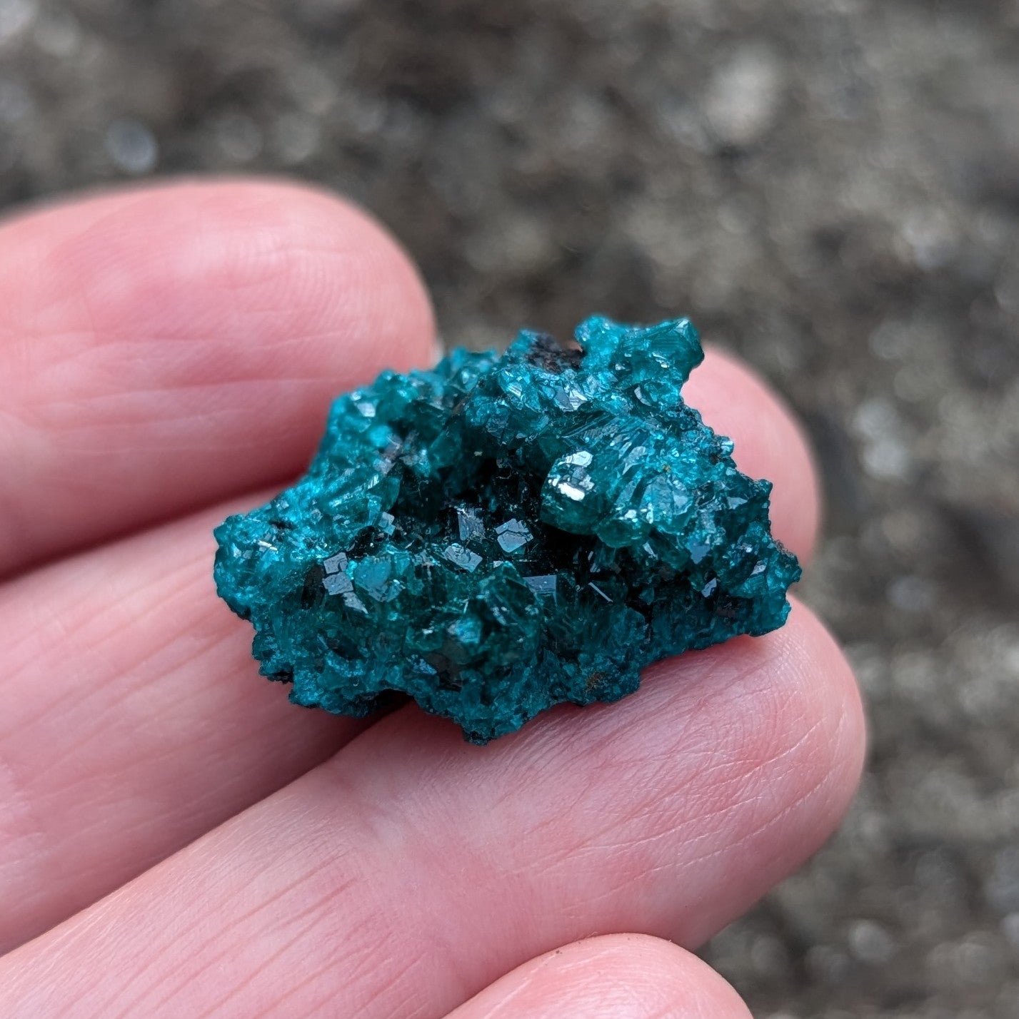 Dioptase 6.9 grams