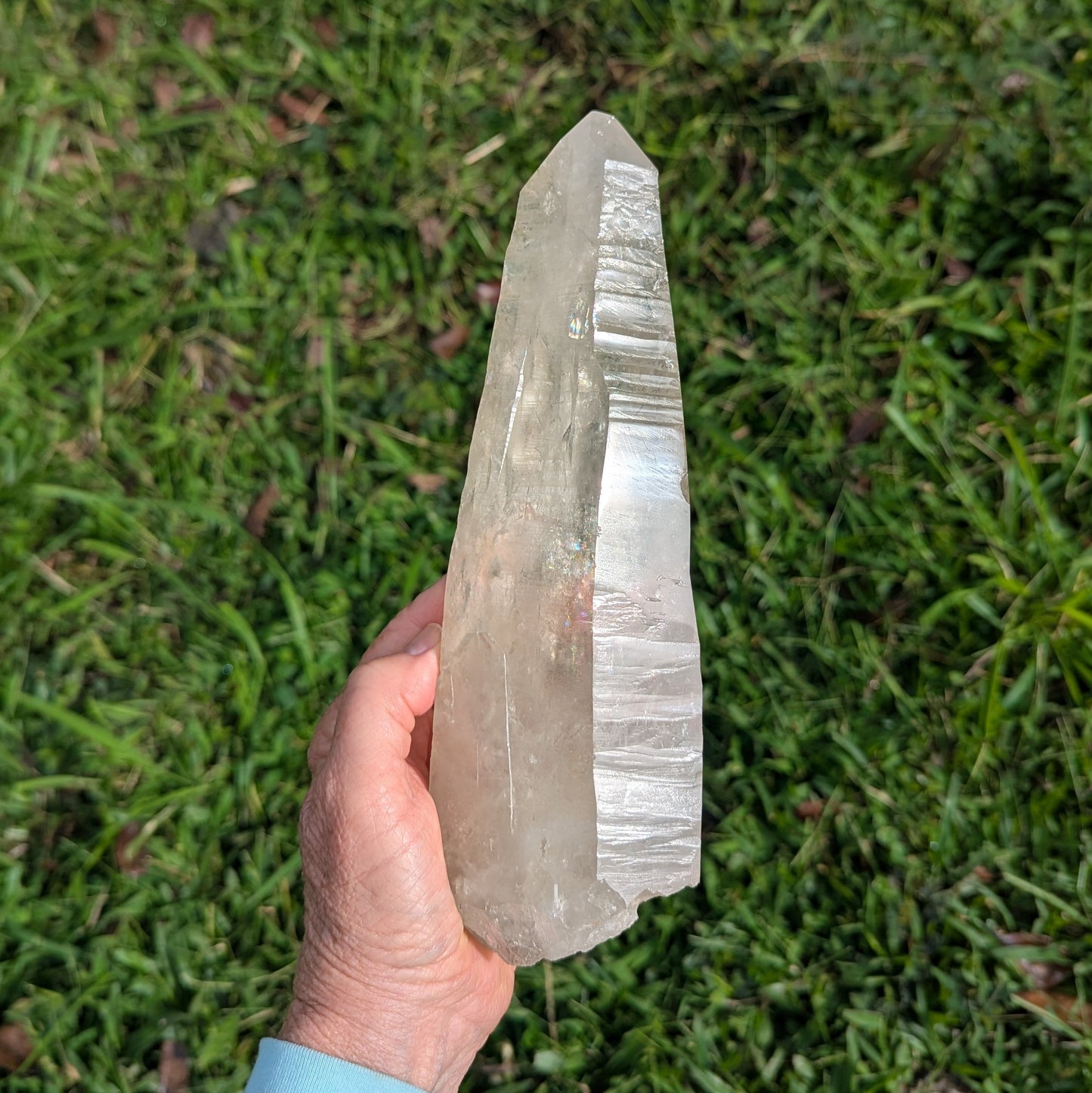 Lemurian Seed Quartz Crystal 9.5" long