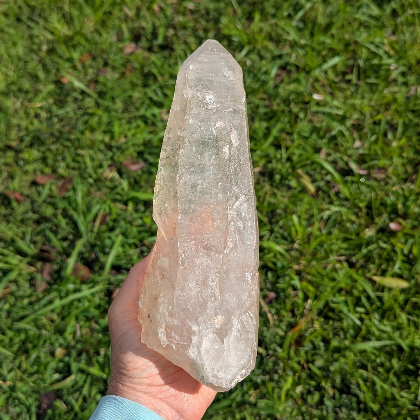 Lemurian Seed Quartz Crystal 9.5" long