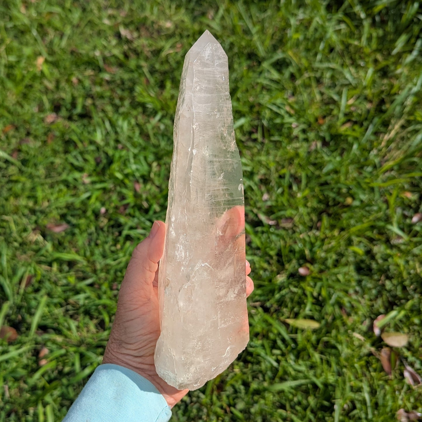 Lemurian Seed Quartz Crystal 9.5" long