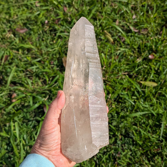 Lemurian Seed Quartz Crystal 9.5" long